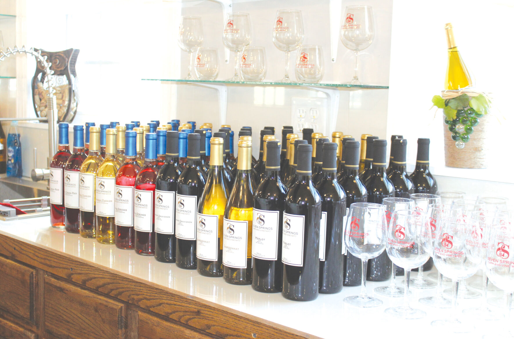 Wine bottles.jpg
